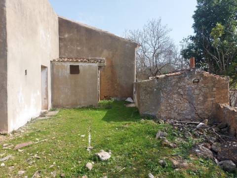 Quintinha com casa antiga a 15 minutos de Albufeira com furo !