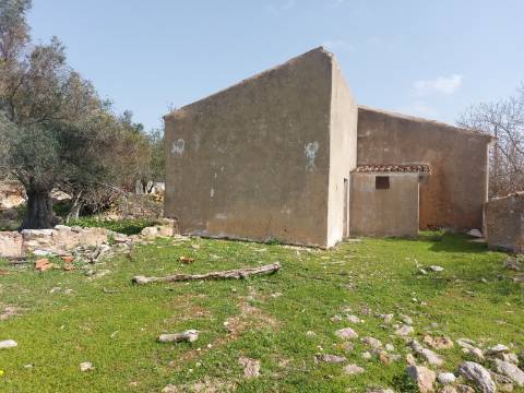 Quintinha com casa antiga a 15 minutos de Albufeira com furo !