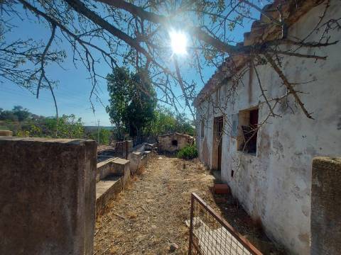 Quintinha com casa antiga a 15 minutos de Albufeira com furo !