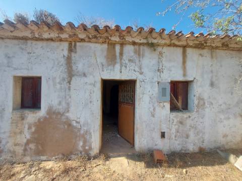 Quintinha com casa antiga a 15 minutos de Albufeira com furo !