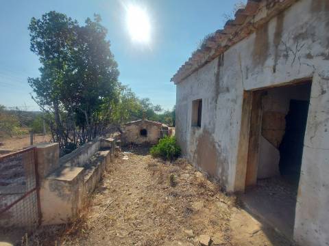 Quintinha com casa antiga a 15 minutos de Albufeira com furo !
