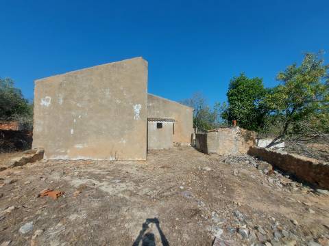 Quintinha com casa antiga a 15 minutos de Albufeira com furo !