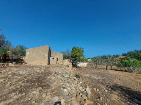 Quintinha com casa antiga a 15 minutos de Albufeira com furo !