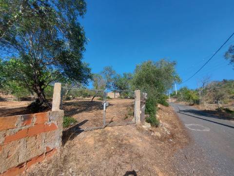 Quintinha com casa antiga a 15 minutos de Albufeira com furo !