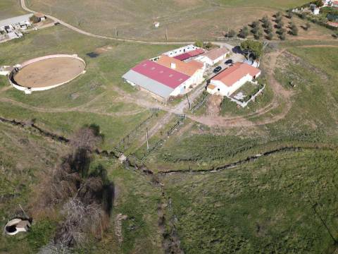 Monte Alentejano com amplas áreas de construção! Ideal para Turismo Rural! Oportunidade!