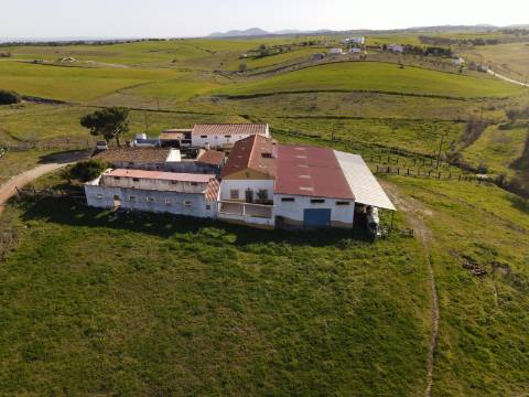 Monte Alentejano com amplas áreas de construção! Ideal para Turismo Rural! Oportunidade!