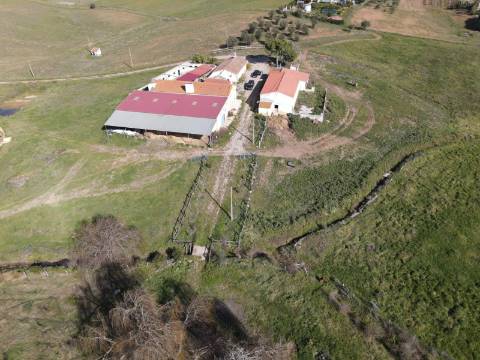 Monte Alentejano com amplas áreas de construção! Ideal para Turismo Rural! Oportunidade!