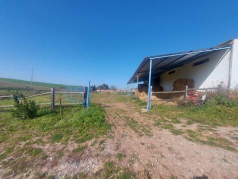 Monte Alentejano com amplas áreas de construção! Ideal para Turismo Rural! Oportunidade!