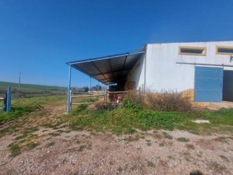 Monte Alentejano com amplas áreas de construção! Ideal para Turismo Rural! Oportunidade!