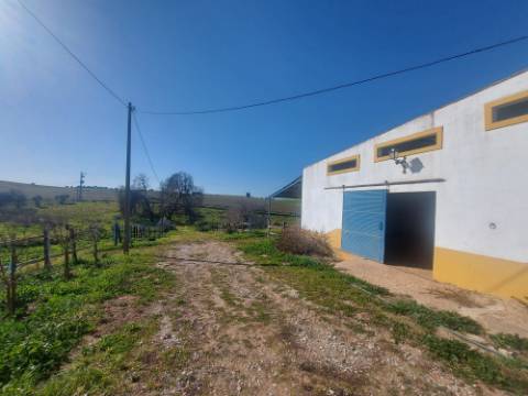 Monte Alentejano com amplas áreas de construção! Ideal para Turismo Rural! Oportunidade!