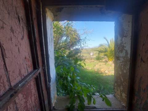 Monte Alentejano com amplas áreas de construção! Ideal para Turismo Rural! Oportunidade!