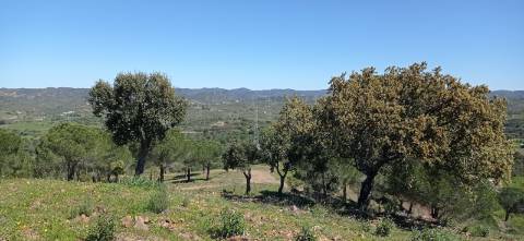 Herdade com características únicas para projeto hoteleiro com ca de