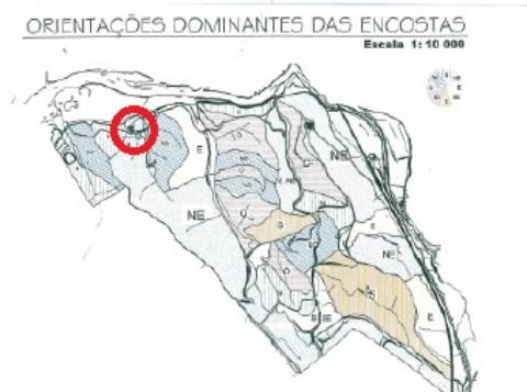 Herdade com características únicas para projeto hoteleiro com ca de