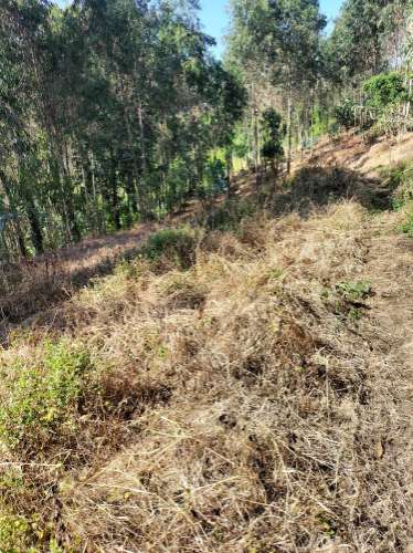 Terreno Urbano com vistas deslumbrantes- Salgueiral, Luso
