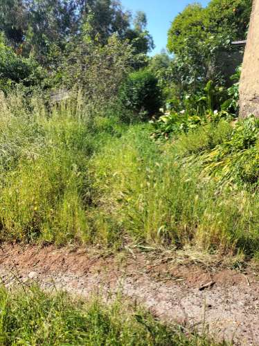 Terreno Urbano com vistas deslumbrantes- Salgueiral, Luso