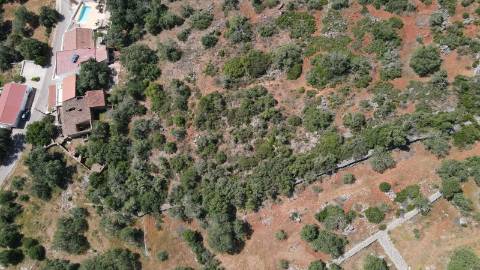 Quintinha Geminada com 9.800 m² e Casa para Reconstrução em Alte - Grande Potencial Turístico