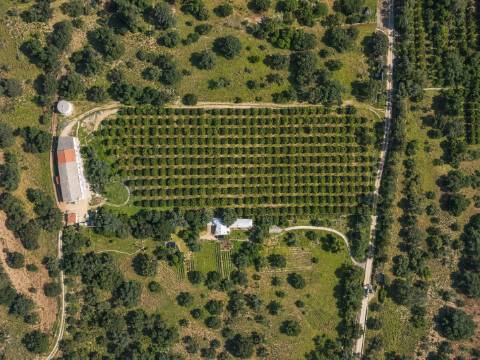 Quinta do Cotovio Cotovio / Ferreiras / Albufeira