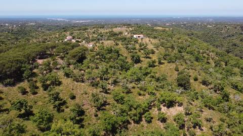 6,00Ha Melides | Com Casa
