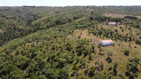 6,00Ha Melides | Com Casa