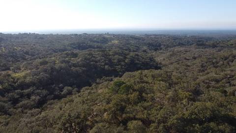 9,25Ha Melides | Com Ruina