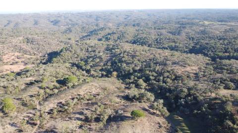 6,64Ha Melides | Com Casa
