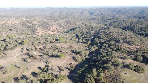 6,64Ha Melides | Com Casa