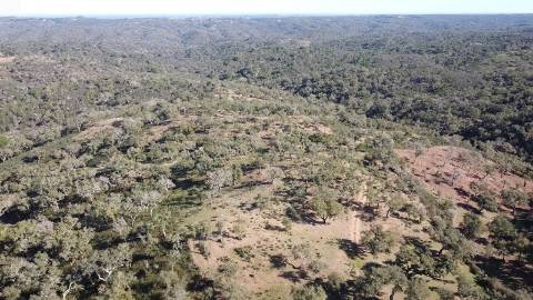 6,64Ha Melides | Com Casa