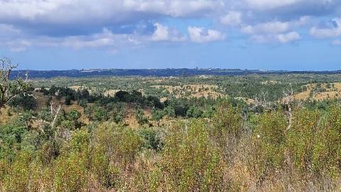 25,10Ha S. Bartolomeu Serra