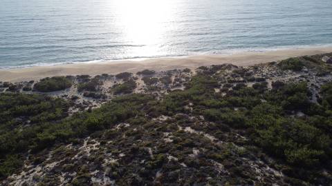 35Ha na Praia C/Casa
