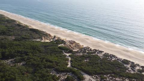 35Ha na Praia C/Casa
