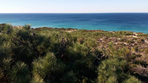 35Ha na Praia C/Casa