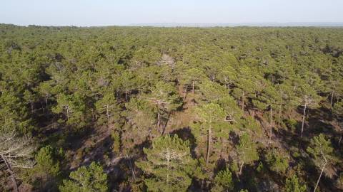 35Ha na Praia C/Casa
