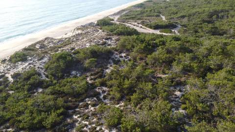 35Ha na Praia C/Casa