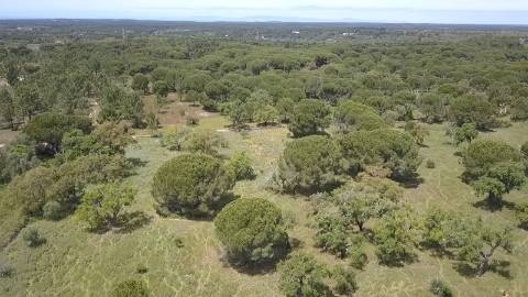 7,30Ha Melides C/ Projecto