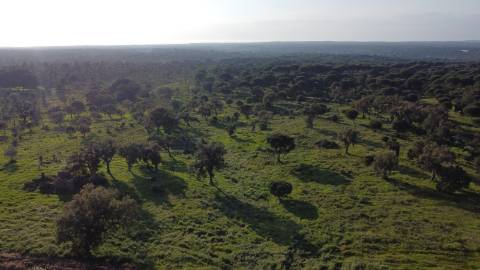 7,30Ha Melides C/ Projecto