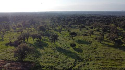 7,30Ha Melides C/ Projecto