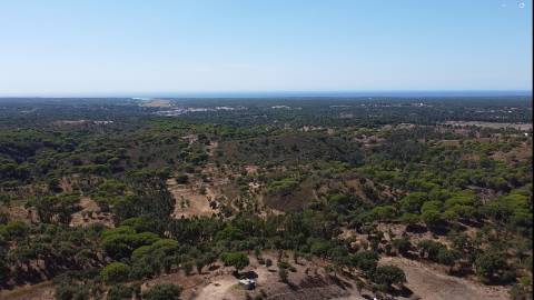 44,00 Ha Melides C/ Casa