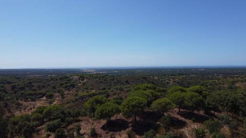 44,00 Ha Melides C/ Casa