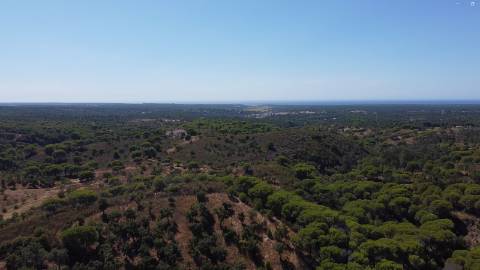 44,00 Ha Melides C/ Casa