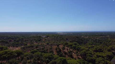 44,00 Ha Melides C/ Casa