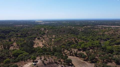 44,00 Ha Melides C/ Casa