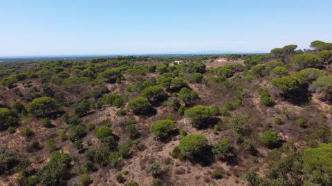 44,00 Ha Melides C/ Casa