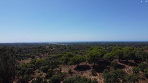 44,00 Ha Melides C/ Casa