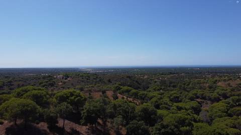 44,00 Ha Melides C/ Casa