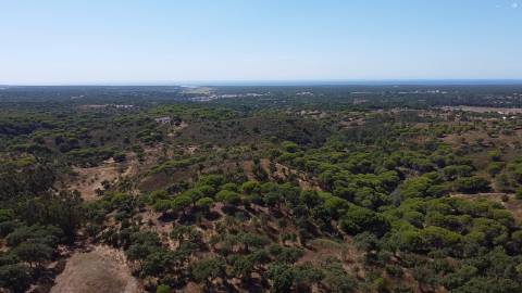44,00 Ha Melides C/ Casa