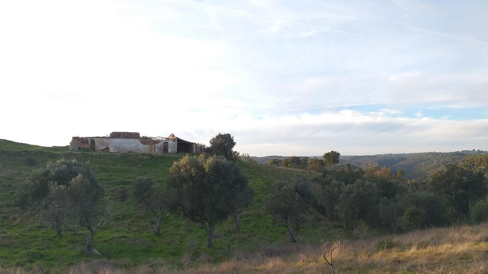51Ha C/ Casa