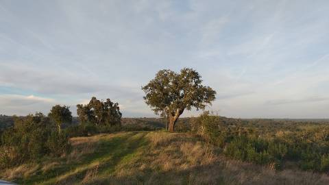 51Ha C/ Casa