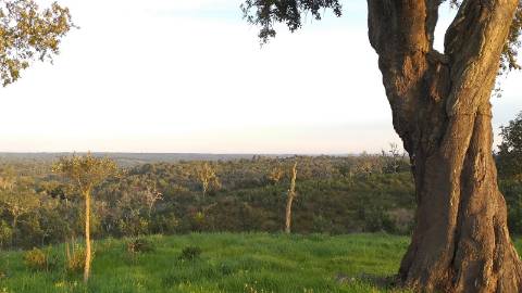 51Ha C/ Casa