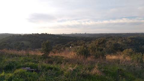 51Ha C/ Casa