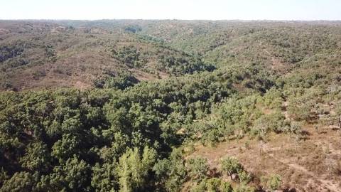 51Ha C/ Casa